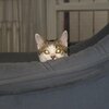 2017/6/19　全銘柄上昇