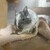 しろごまあん1260日目