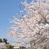 桜の里見駅へ入る