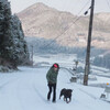 元旦の朝、窓を開けると雪景色だった。