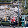 平野神社桜花祭その１
