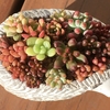 多肉の寄せ植えをいろいろ作ってみた！