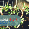 コロナワクチン職域接受付開始～打つ？打たない？という選択の自由～