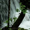 梅雨明けまじかの鳴神山