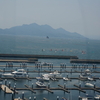 夏の思い出！