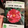 久しぶりにNHK趣味の園芸のよくわかる栽培12ヶ月ツバキ 、サザンカを開いてみた