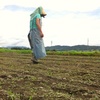 ７月１５日出荷の野菜