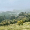 【千葉県：大山千枚田】雨上がり棚田と紅葉のお散歩🐾