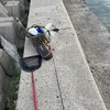 もう釣りはいかない！＆円高と株安の対応
