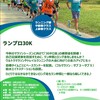 ランプロ30K参加してきました