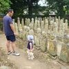 こども誰でも通園制度 早速利用してます