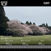 後半から急にショットが悪くなった・・・ in 東千葉