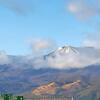虹の橋を見つめながら・・・