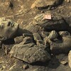 陝西・西安の兵馬俑２号坑で第２次発掘作業開始―中国メディア