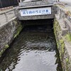 41歳、九州から関東に移住してきました～４か月と３０日目