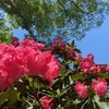 “無色”な彩り🌿〜最終日〜