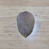 虎の子のアーモンド、落ちました！