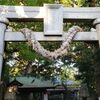 【東京都世田谷区  奥澤神社】鳥居に大蛇が巻き付く神社