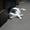 バテ中につき