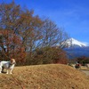 富士山とキン