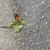 2024-07-10(Wed)