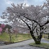 ひとり禅の旅