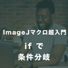 【ImageJマクロ超入門】#4　ifで条件分岐