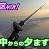 【#11プチ神回】怒涛のラッシュが続きました🐟in田原サーフ【釣行日2023/10/27(金)】