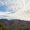 蛇谷ケ峰山麓　紅葉②