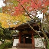 🍁千葉県松戸市『本土寺』では紅葉が始まりました😊