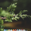 elementary OS 0.4.1 Loki をインストール