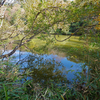 トンボの池（和歌山県和歌山）