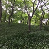 殿ヶ谷戸庭園(随冝園)@国分寺