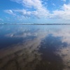 ニュージーランドのウユニ塩湖⁉天国のビーチ【Bethells Beach】へ行ってきた！   