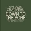 Down to the Bone: An Acoustic Tribute to Depeche Mode / Sylvain Chauveau &amp; Ensemble Nocturne