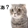 給付金いらないの？(￣0￣)