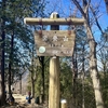 宝登山、その山頂へ!!