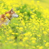 風が強い日