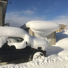 ２回目の雪下ろしです