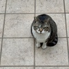 今日は気分の暗い、辛い一日に・・