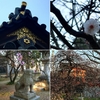 【屯倉神社】古墳時代中期。河内王朝のパワーの基盤となった穀倉地帯【依網屯倉】