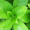 2015年４月に捨てたものは4点