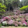 基山のつつじ寺 大興善寺に行った