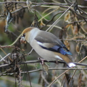 ムスメとオットとジィちゃんと。