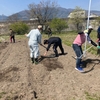 自然農法体験ツアーを始めました～～！！第１回（４月１０日）