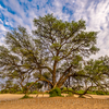 Iseya-Shinsuke Photography tour in Namibia pt.11