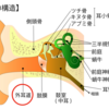 耳鳴り・難聴は専門医の治療法で改善｜「特効ポイント」-耳ひっぱり