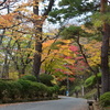 千秋公園の秋