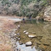 3/4    犬上川渓流釣り　解禁しました！
