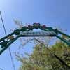 桜も見たくて五月山動物園へ